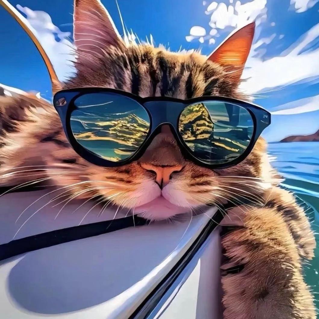 小邢的外贸笔记 | Google 独立站