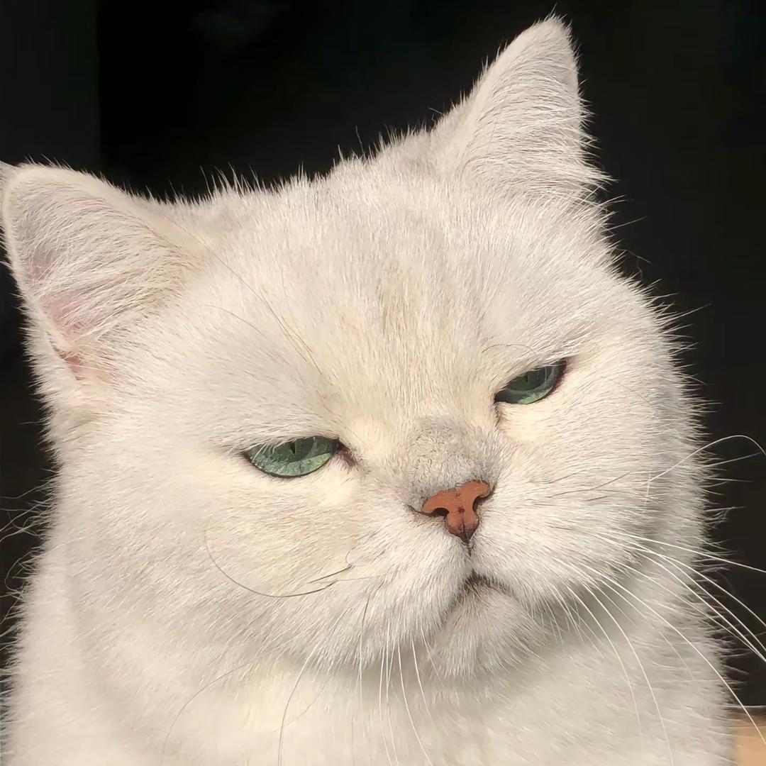 旺旺起司贝南瓜