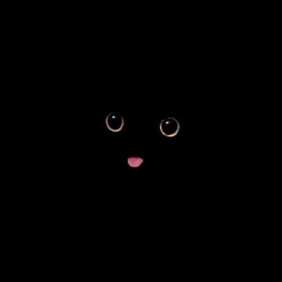 ㅤㅤㅤㅤ ㅤㅤㅤㅤ