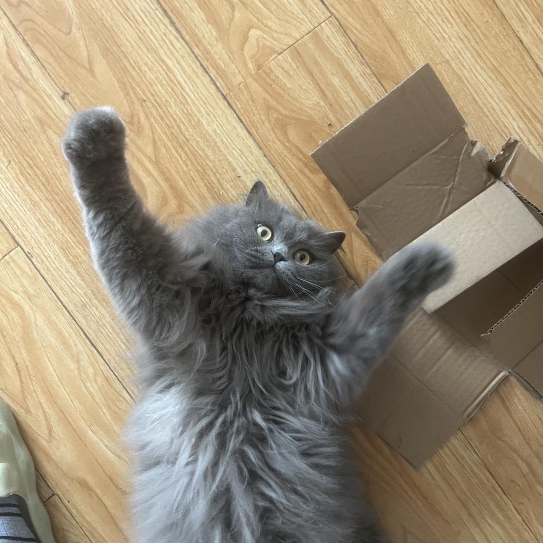 宇宙无敌暴风帅