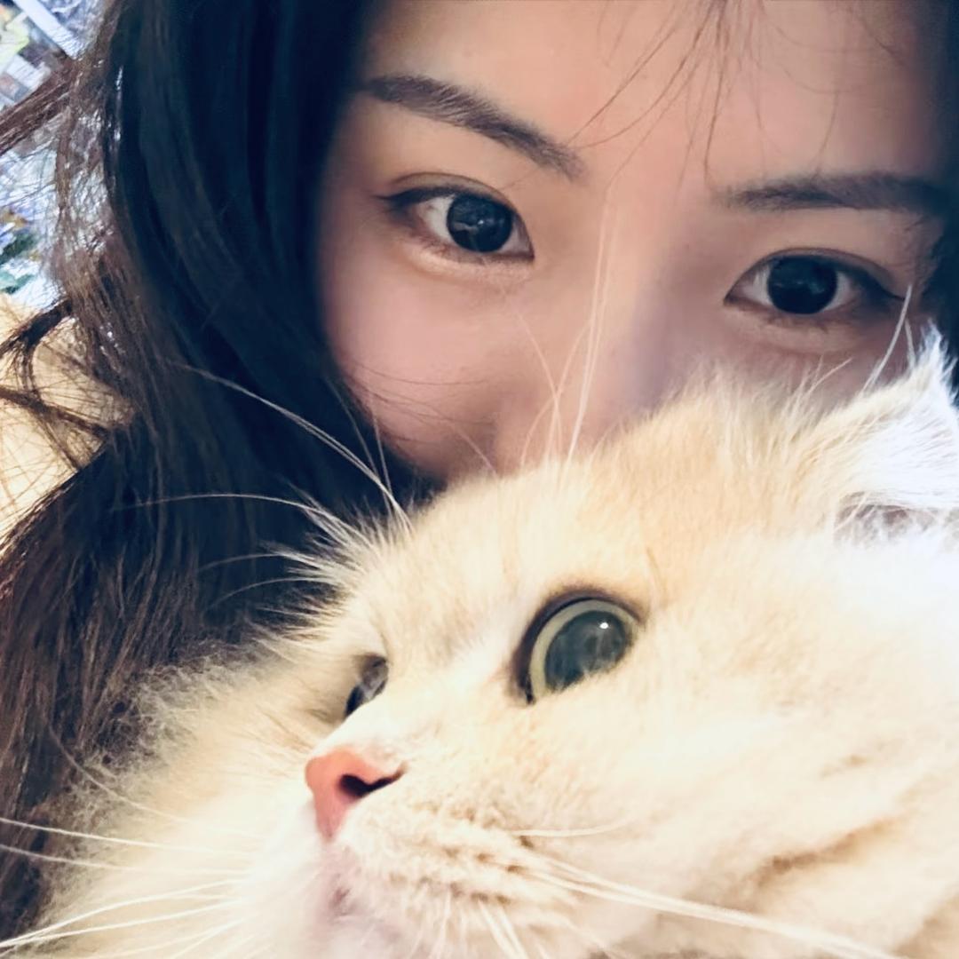 @嘉多宝♥️