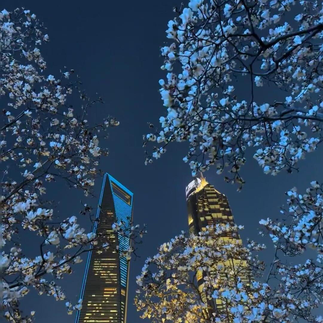 桔梗