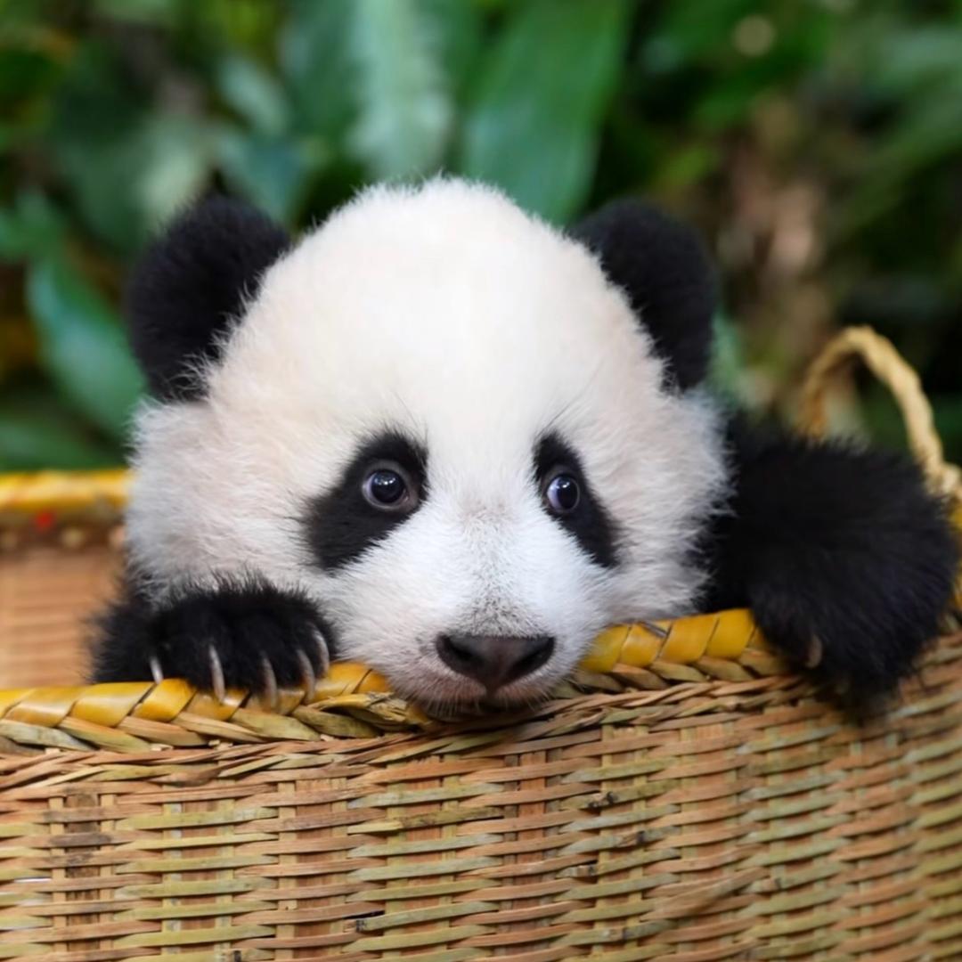 🐶🍀𝓵𝓾𝓬𝓴𝔂 🌊²⁸¹