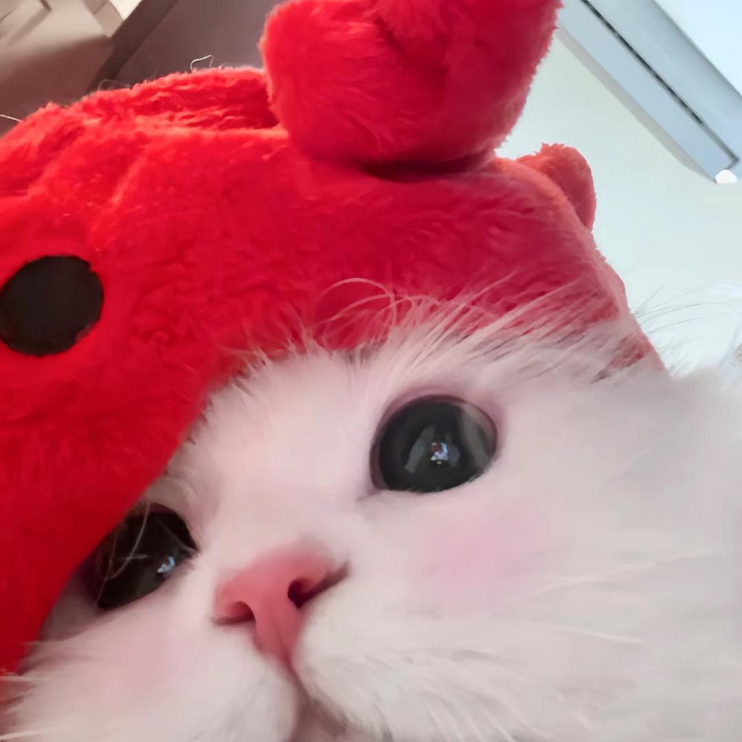 溢汁汤包🧸
