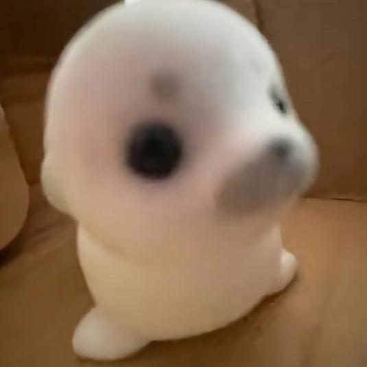 悲伤欲绝豆芽菜