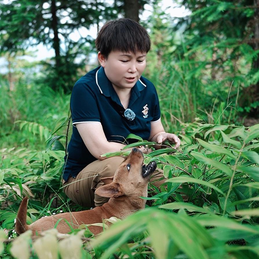 天台陈姐说