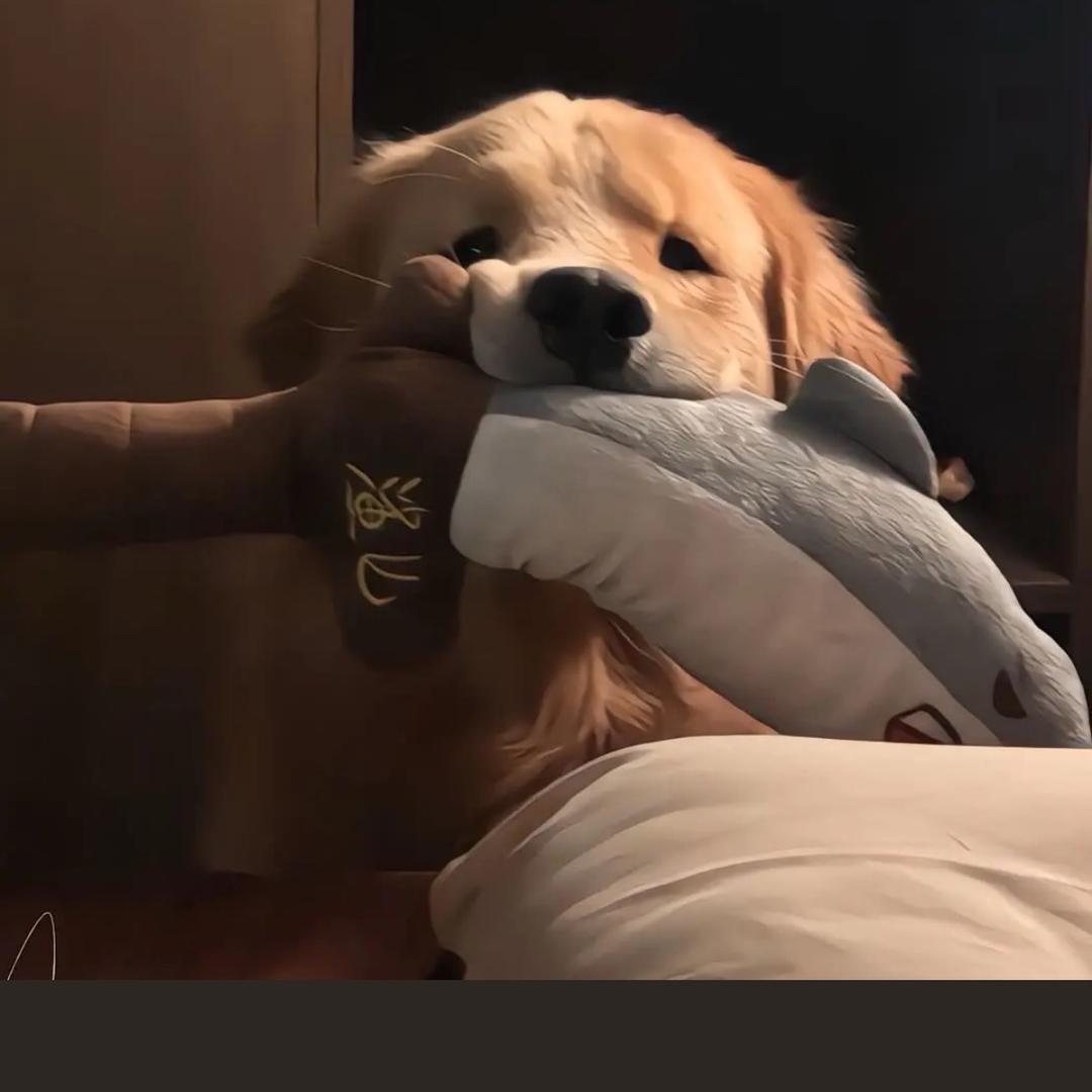 想来零食限时特惠(一折)GO