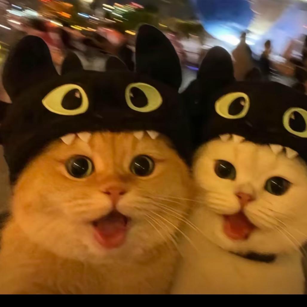 当局者迷