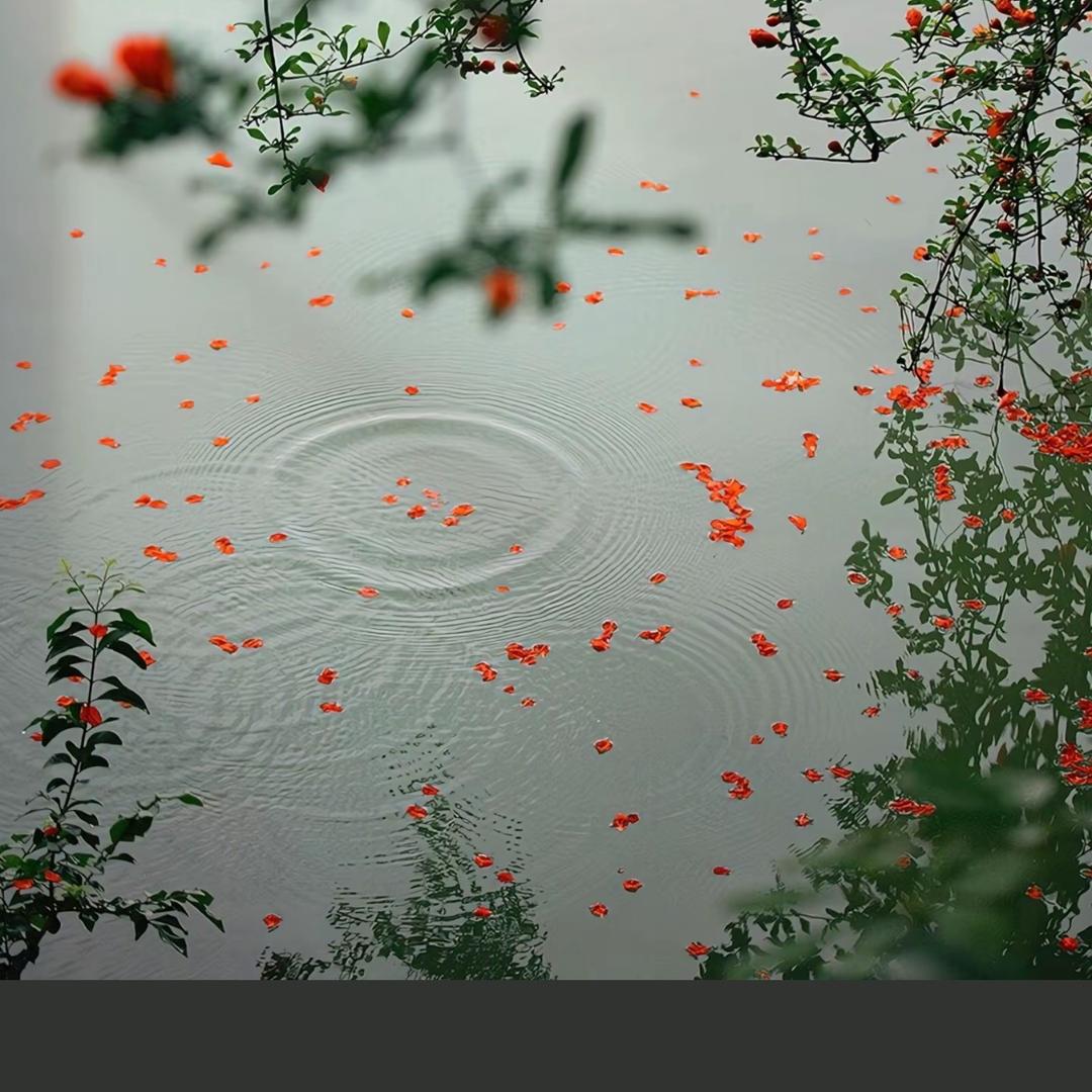 舒悦梦蘭五岭店