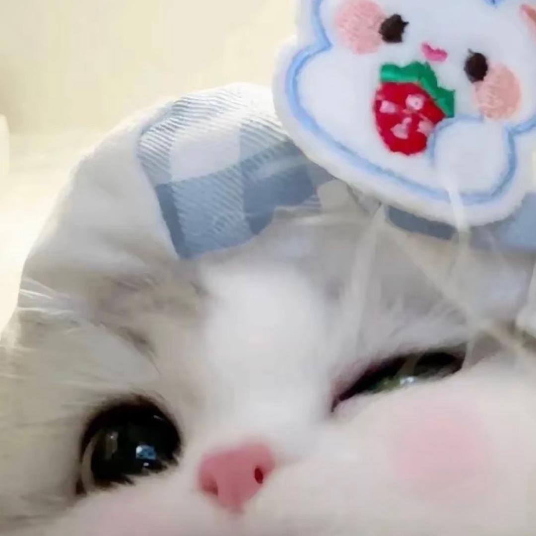 春欲晚