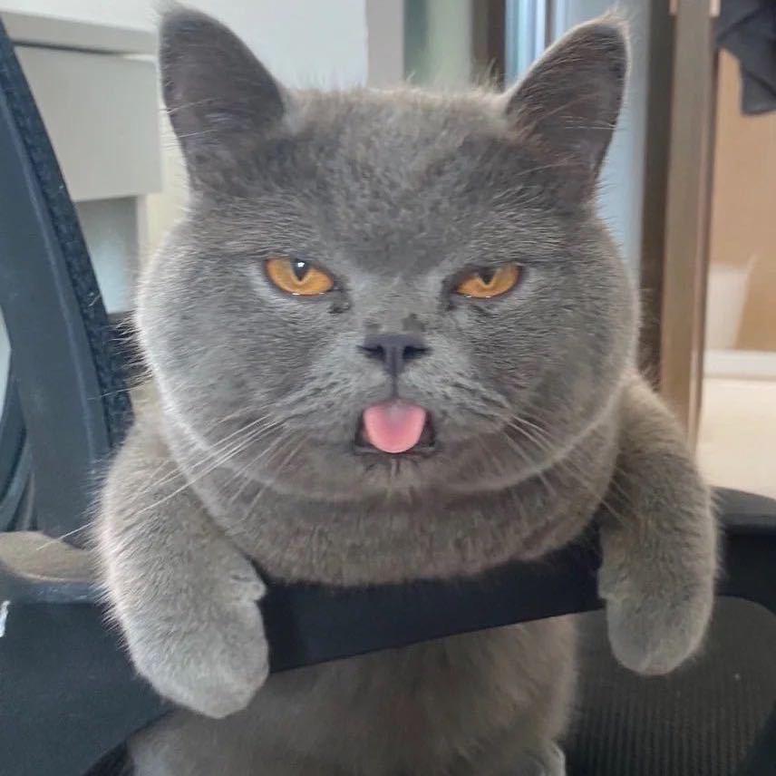 思开