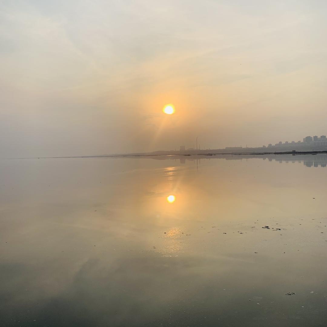 sc1003271