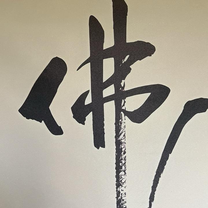 此号停用