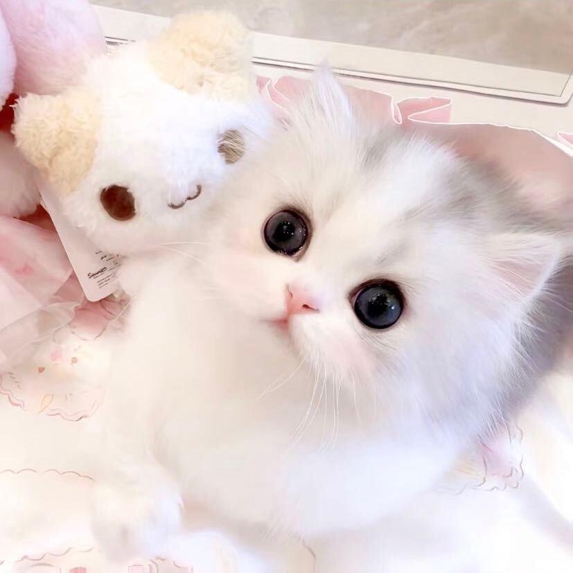 小丸