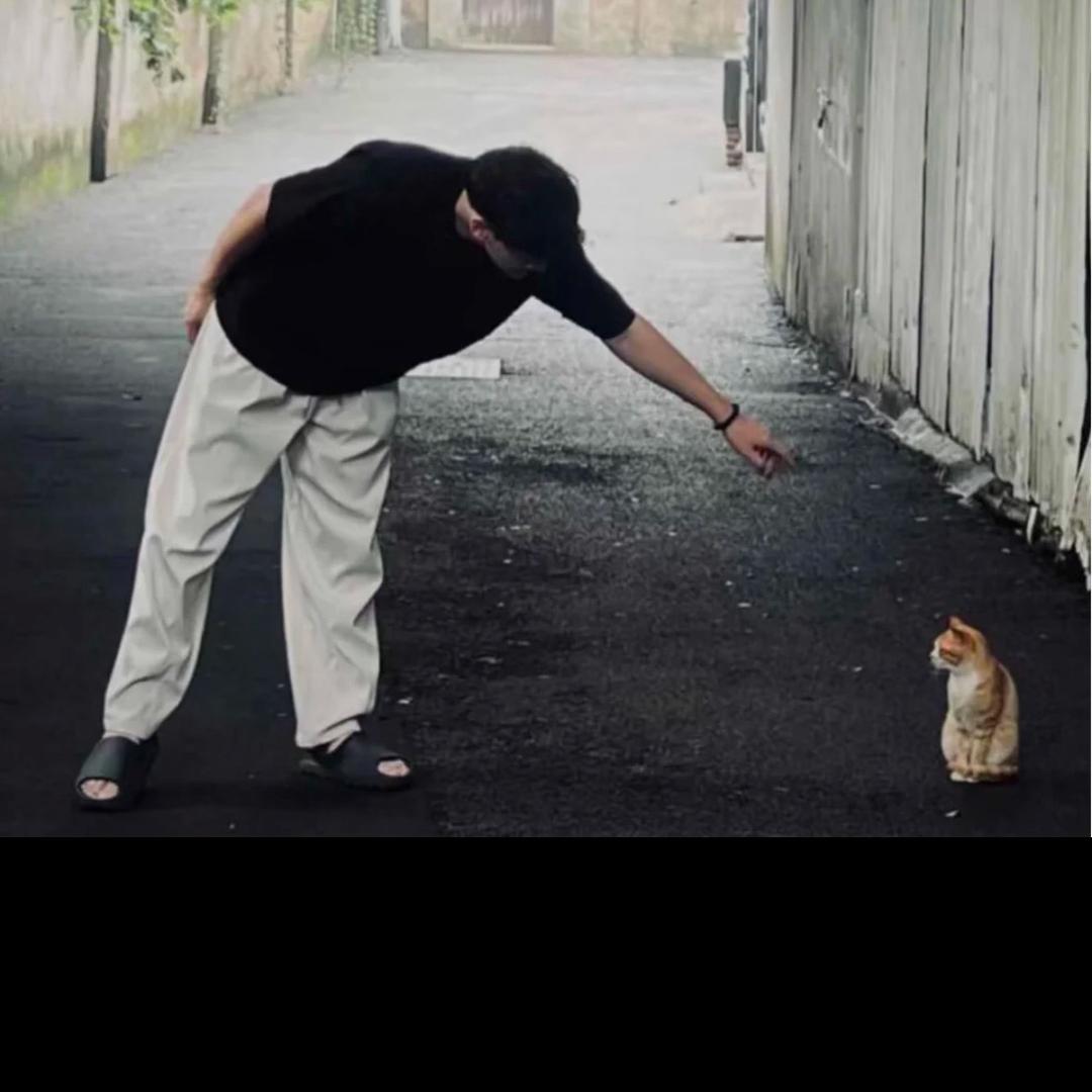 北路有光