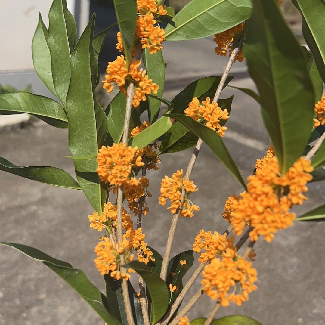 80后的我