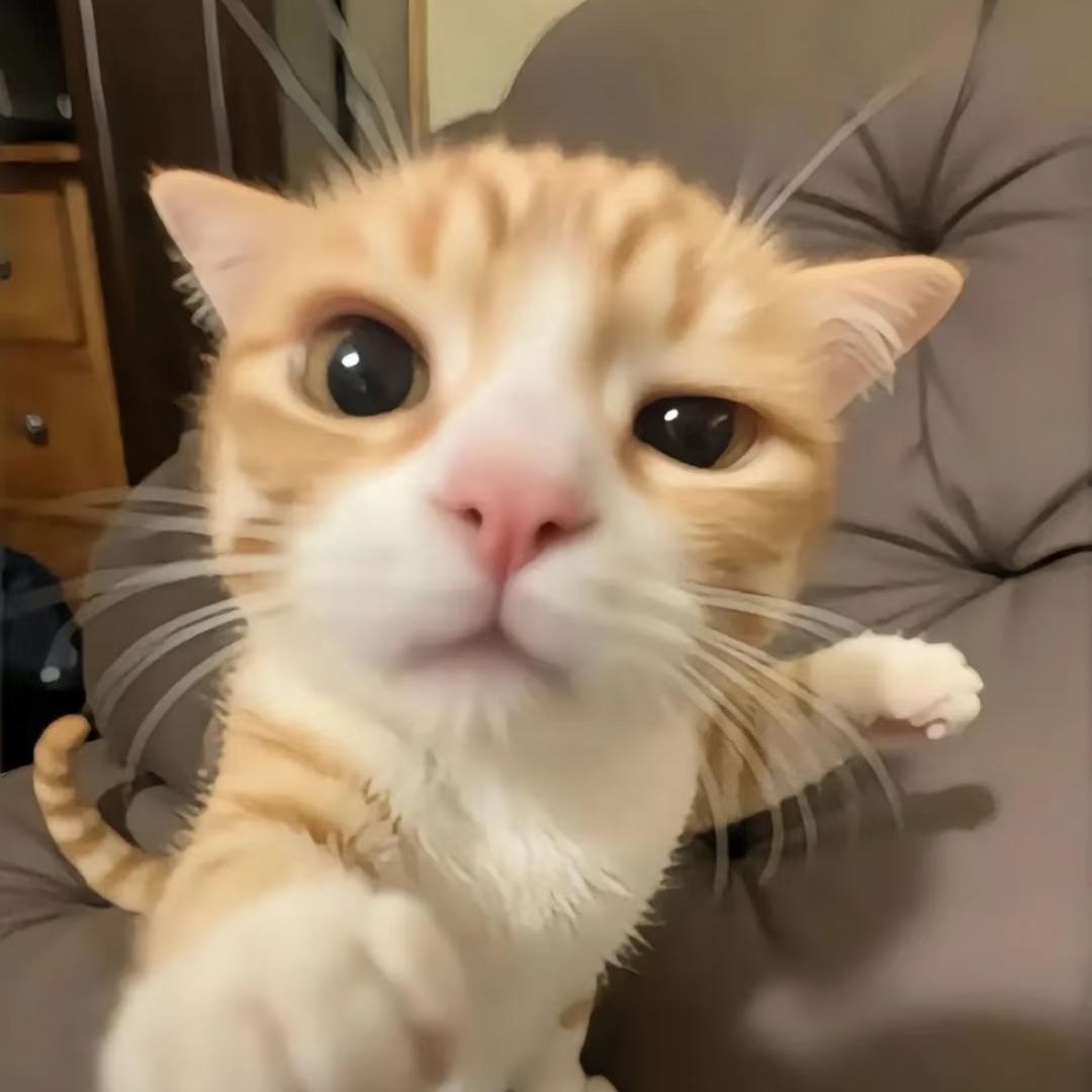 泉州亚特工厂直销服饰