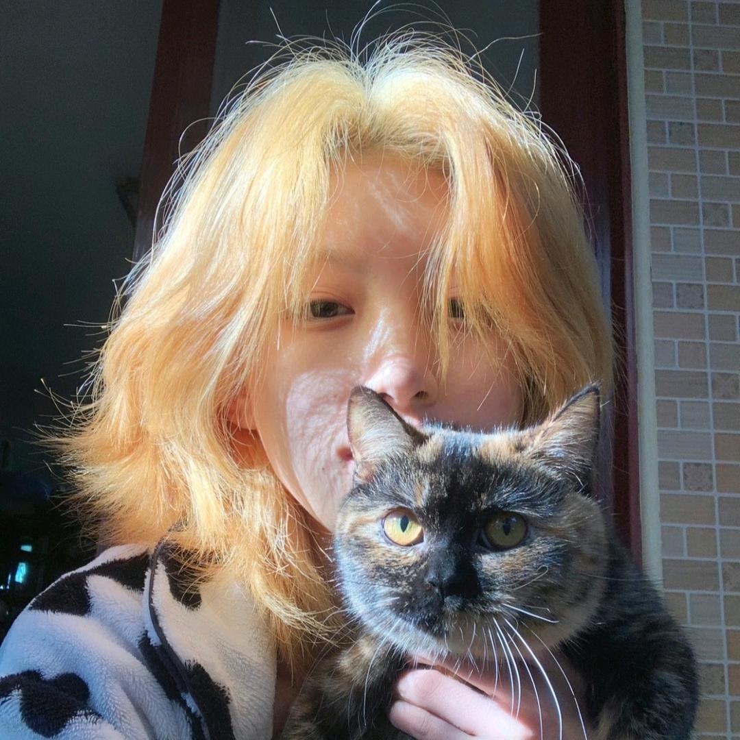 今天也不是很想吃香菜