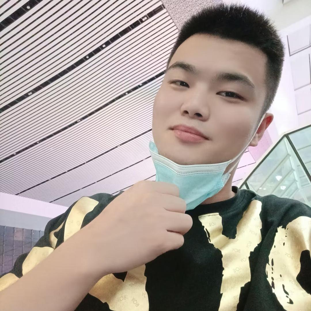 小枫回来了