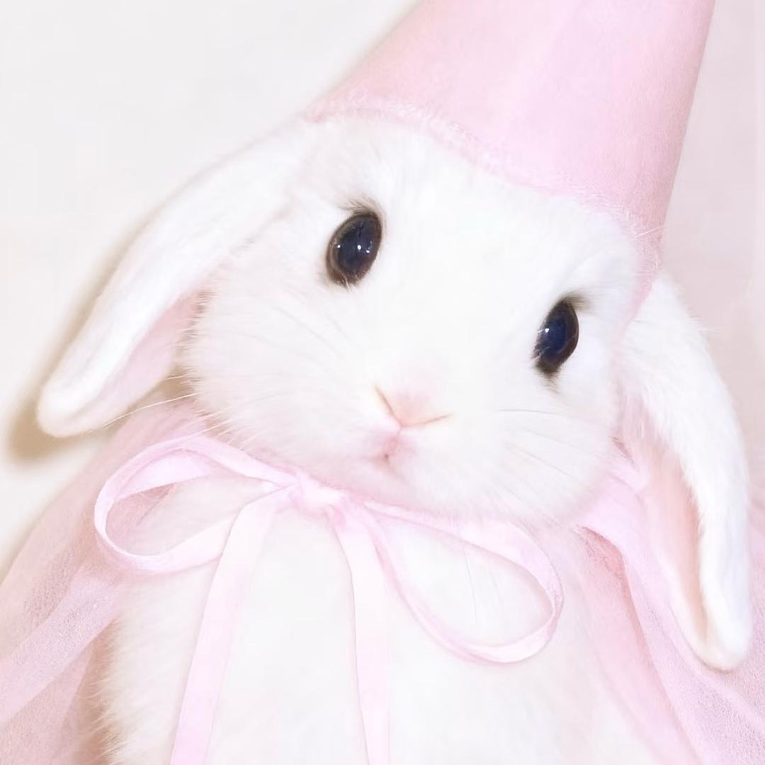 做自己世界的大人