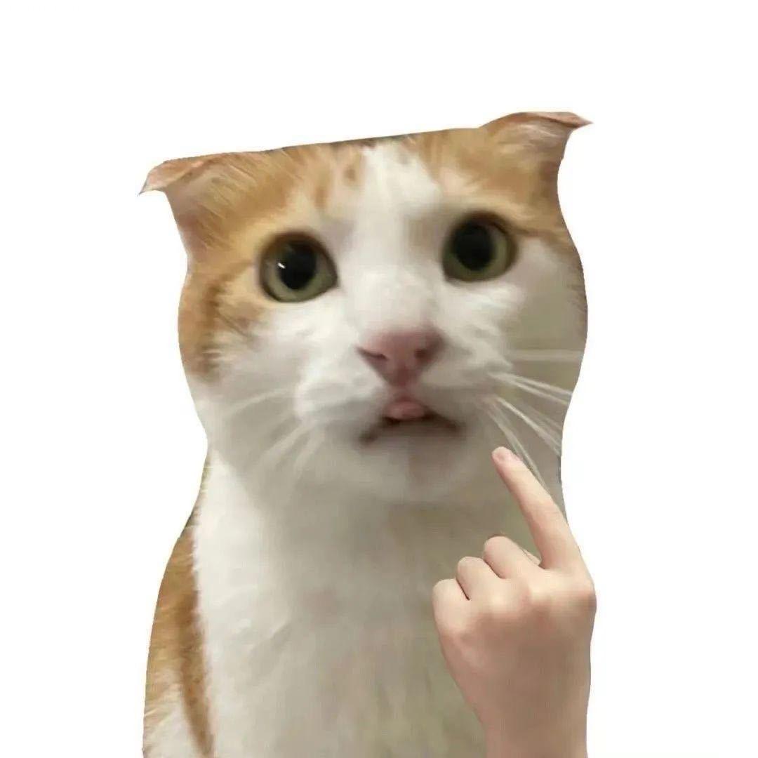 竹上隐客惊雀