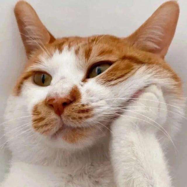 香瓜