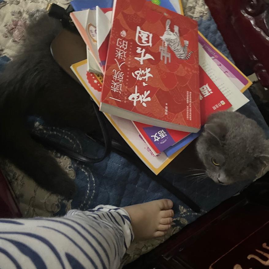 小飞¹