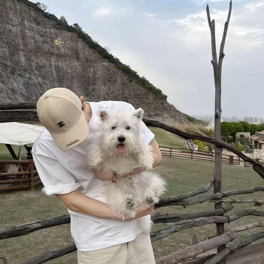 -艺轩.
