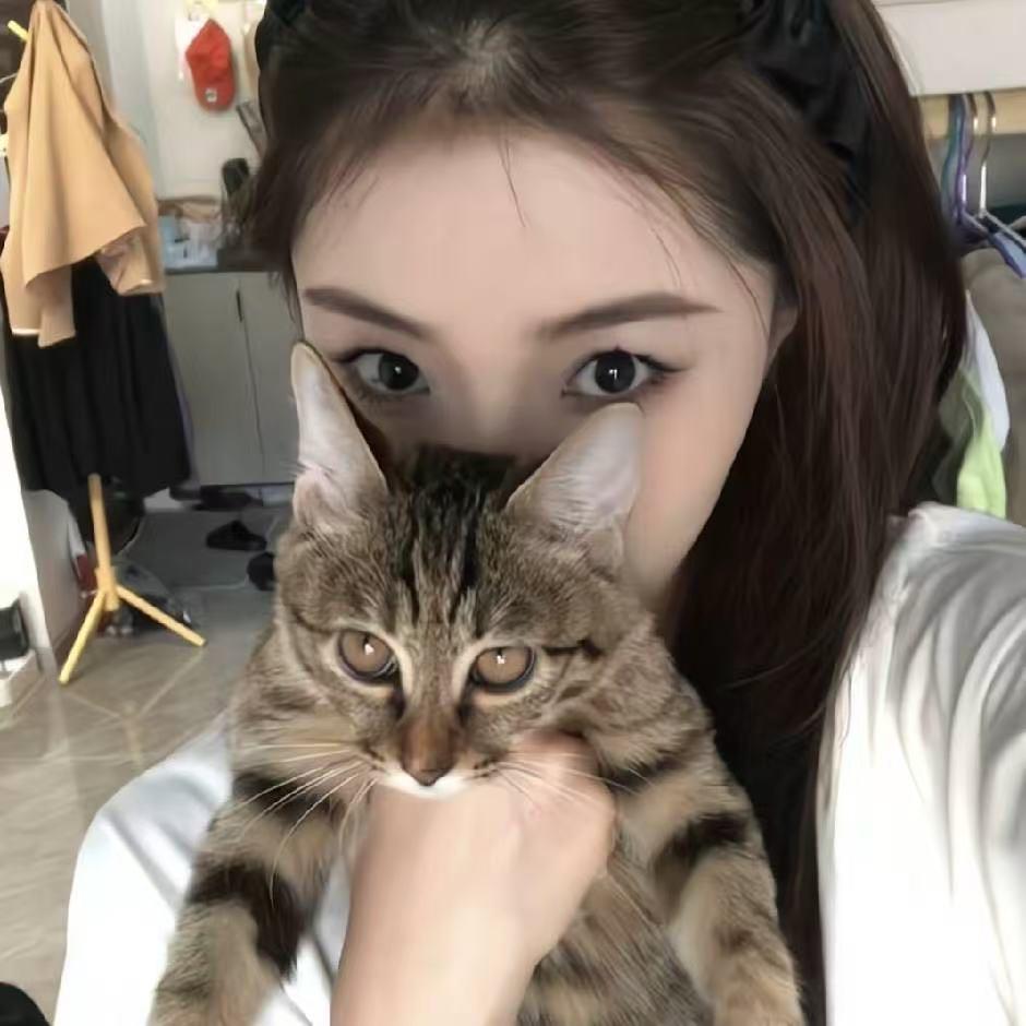 艾芾特种咨询（官方号）