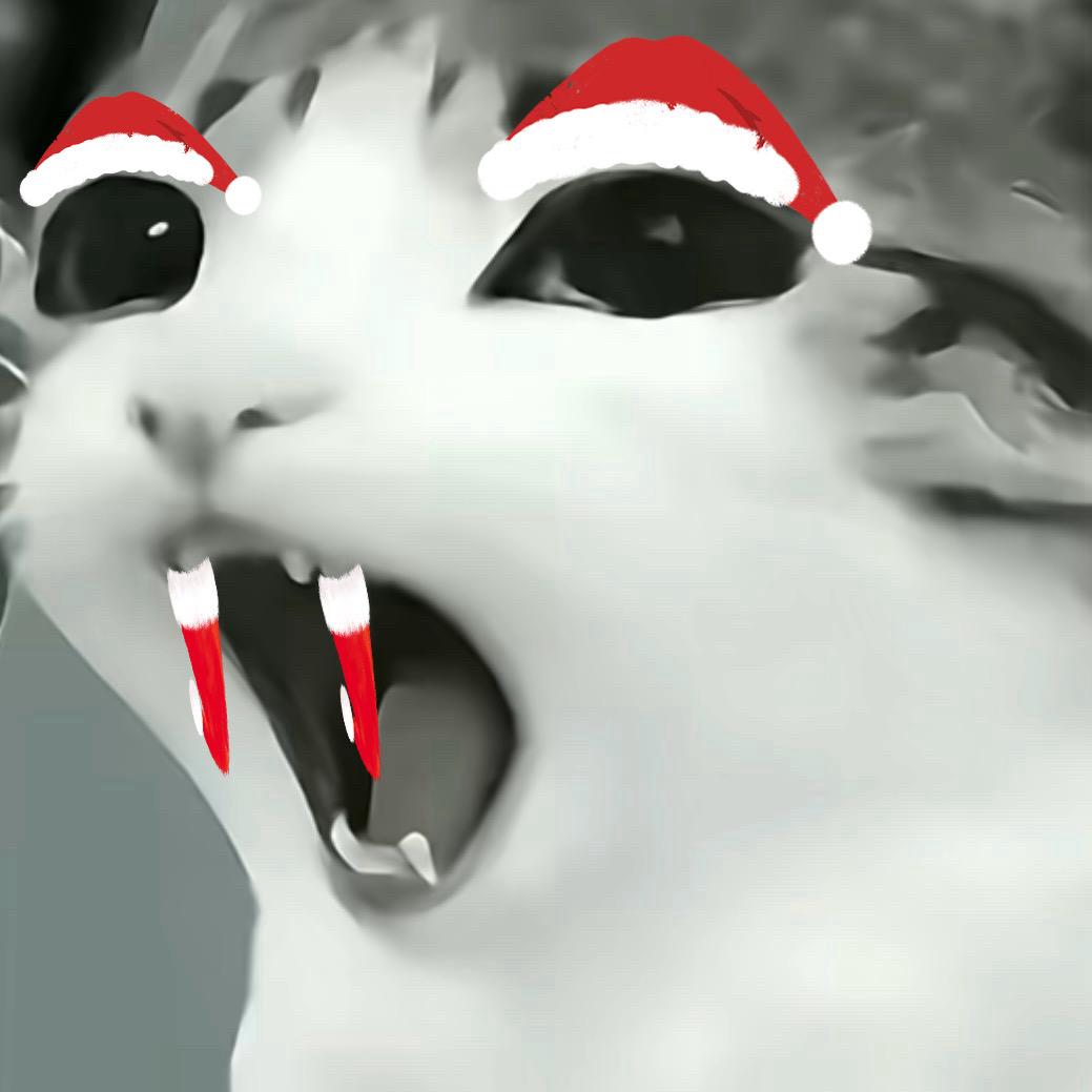 鱿鱼猫猫教主^