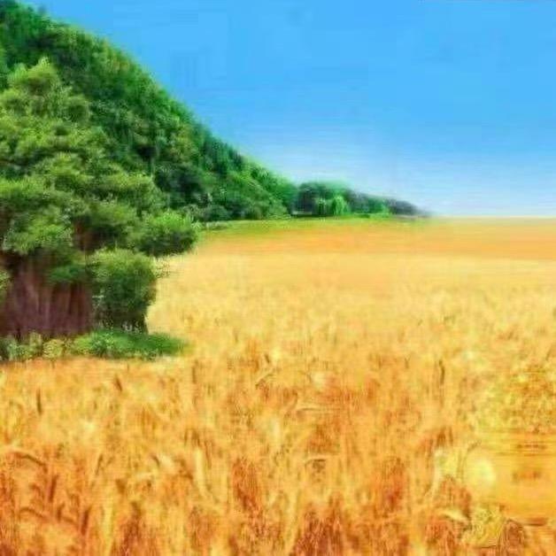 莹