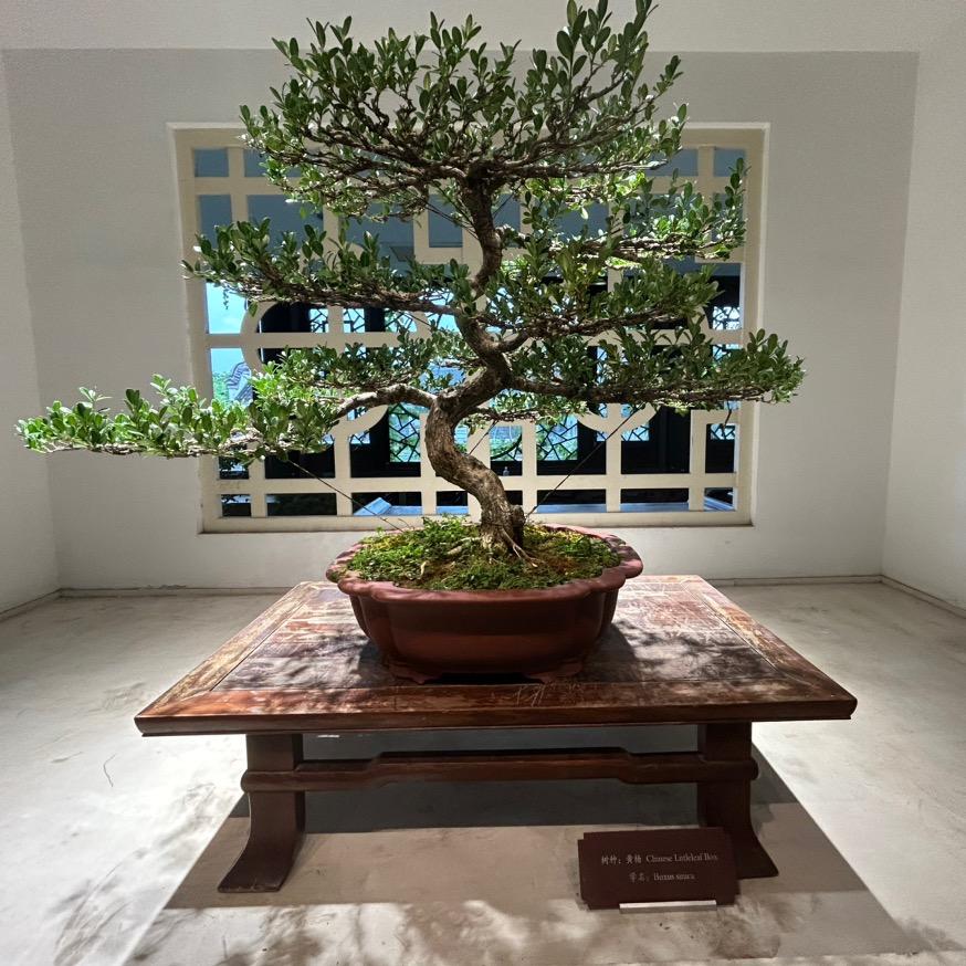 🍎平安喜乐🌈