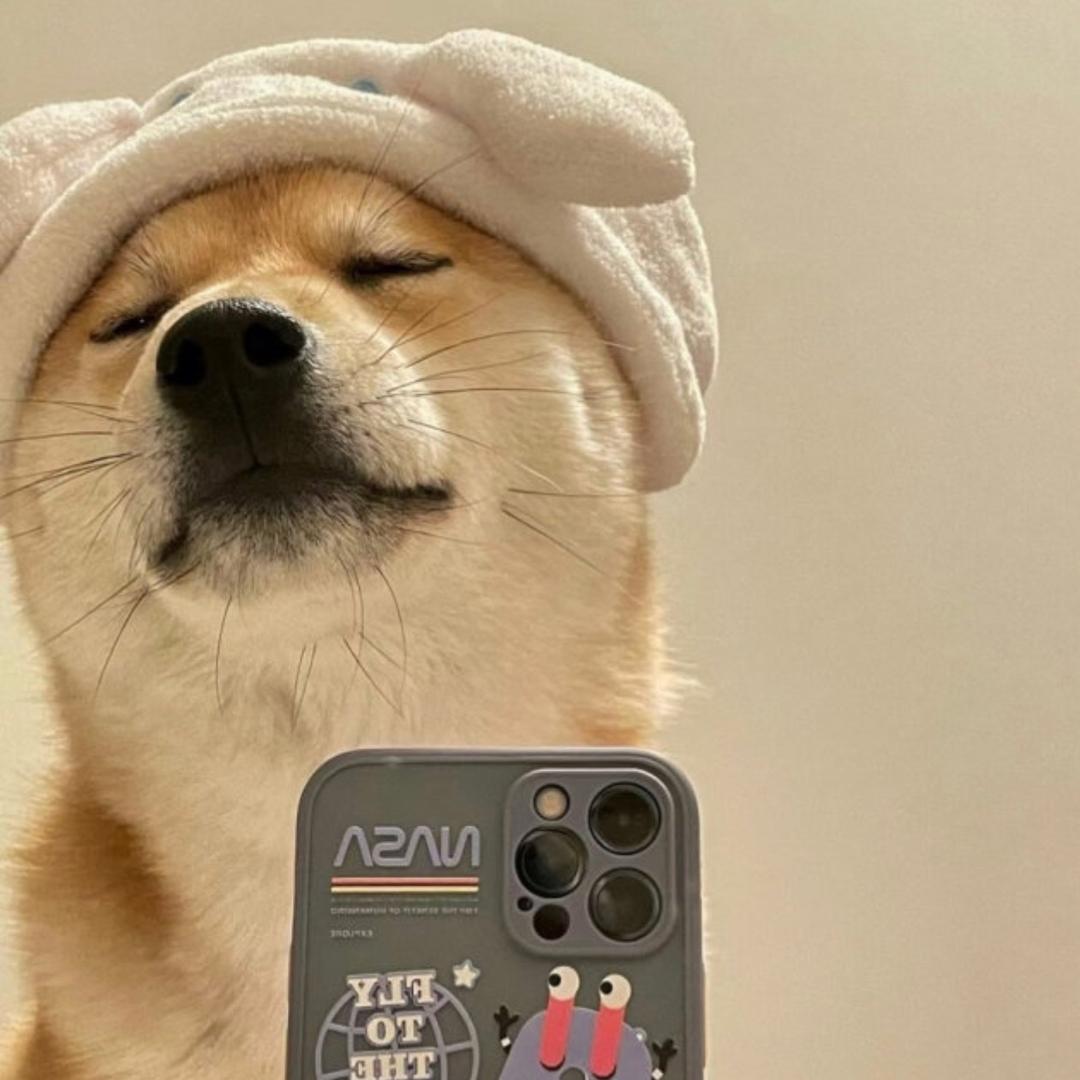 土木一班张同学