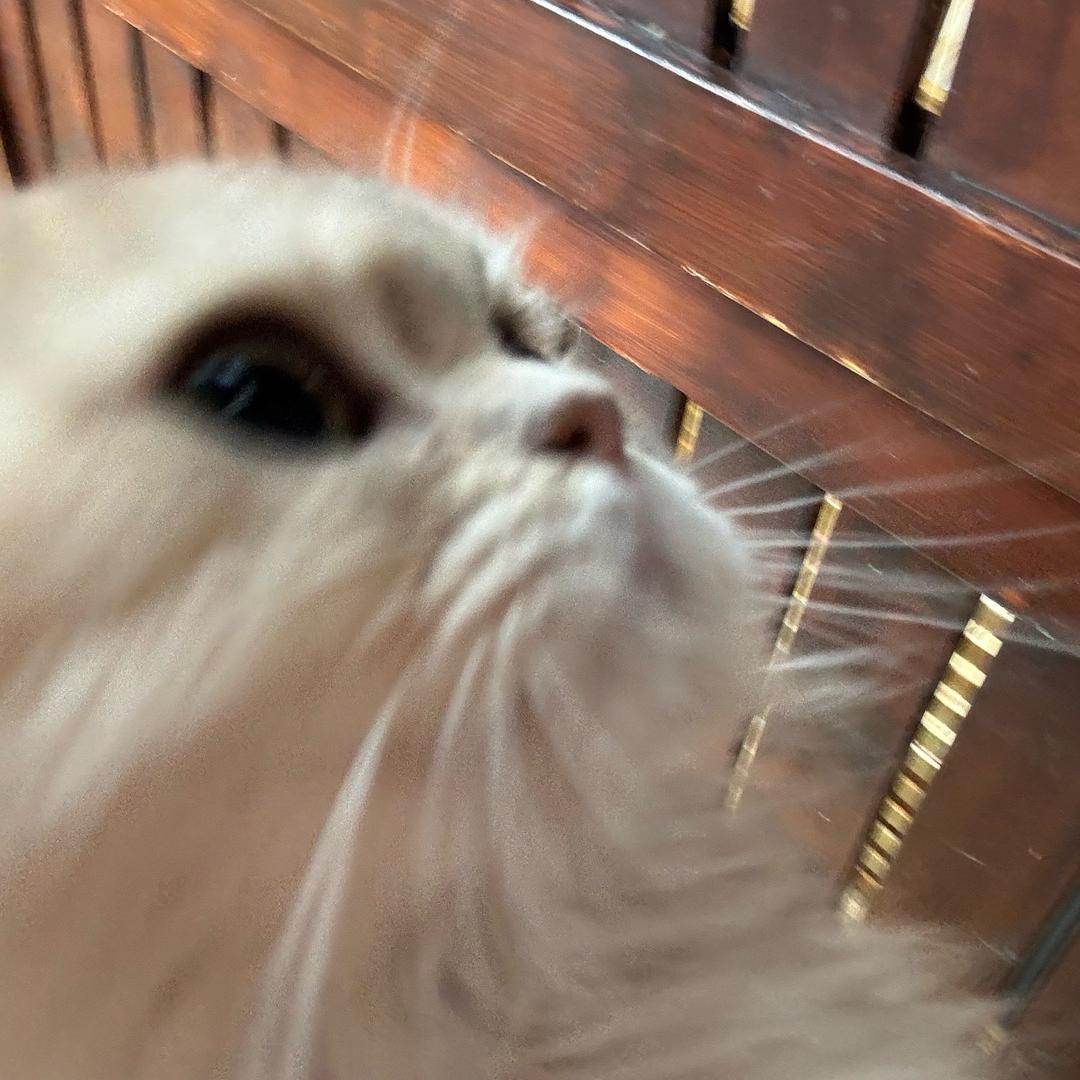 轻松拿捏一根腿毛