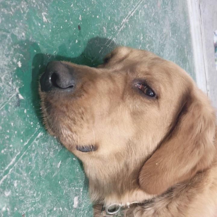 赶紧来解决问题