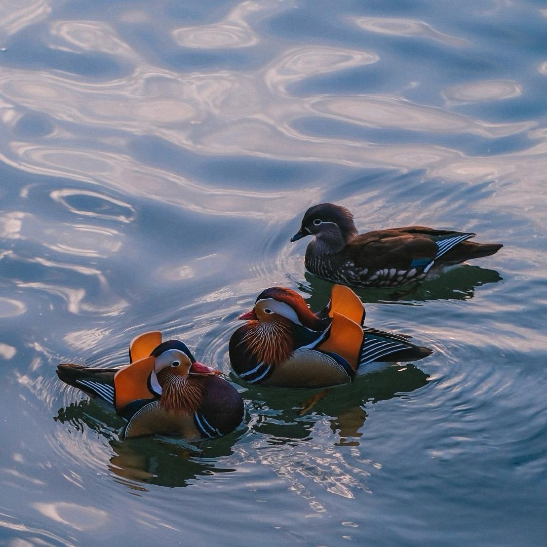 钓琅湾甄选码头