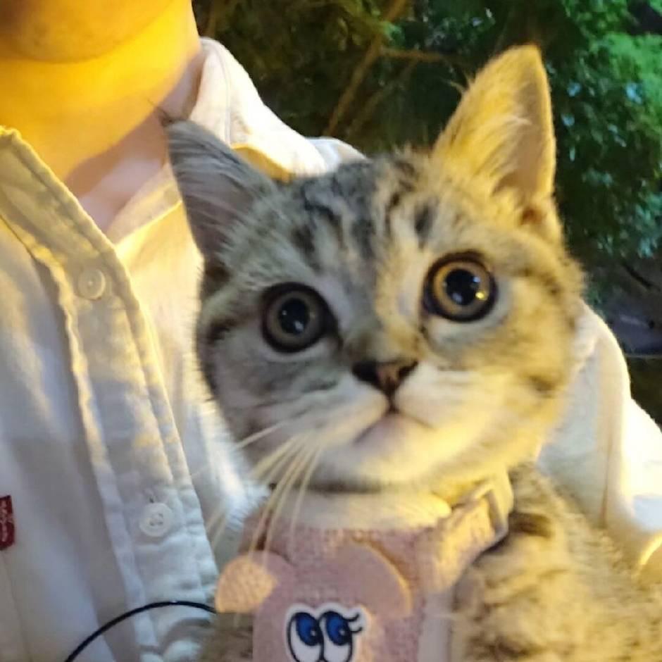 小能