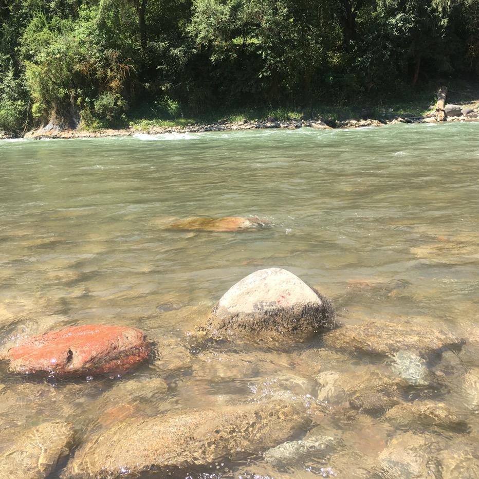 🌈爱的转盘🌈