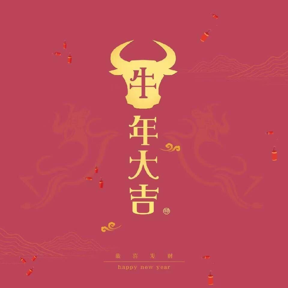 胆小好色爱看腿