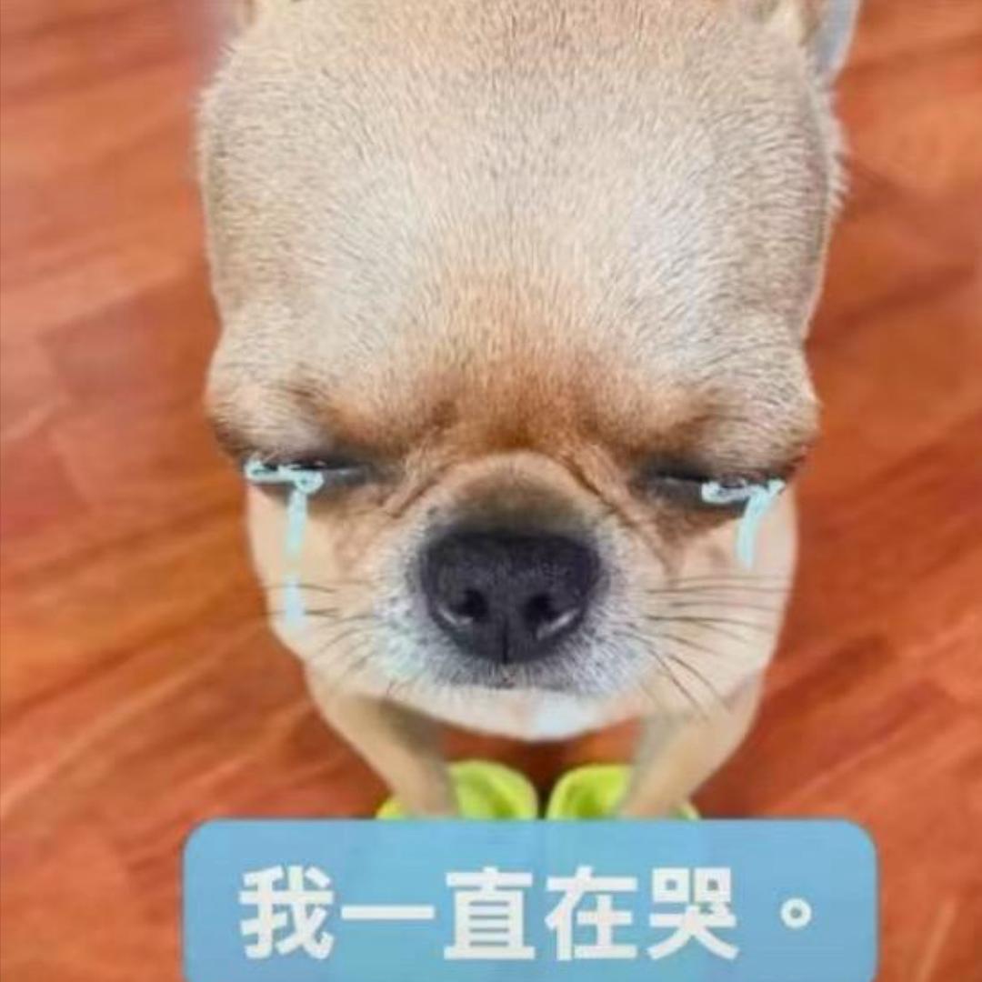 烦不凡