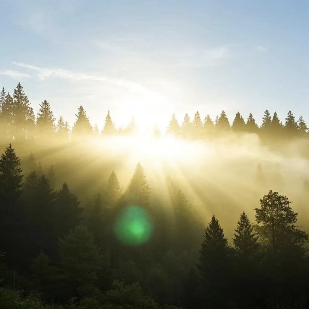 森茂科技～李炎樟