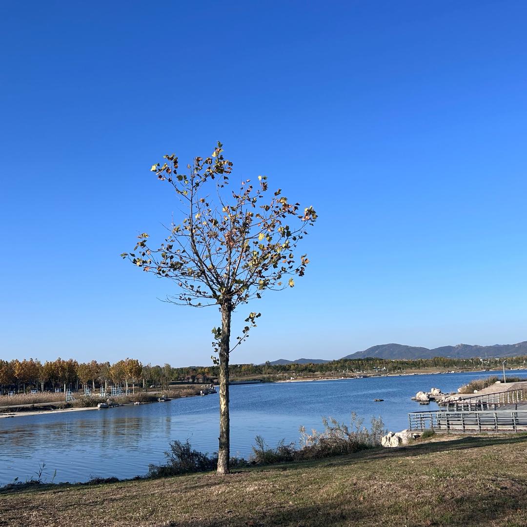 宋湖江南首席小占