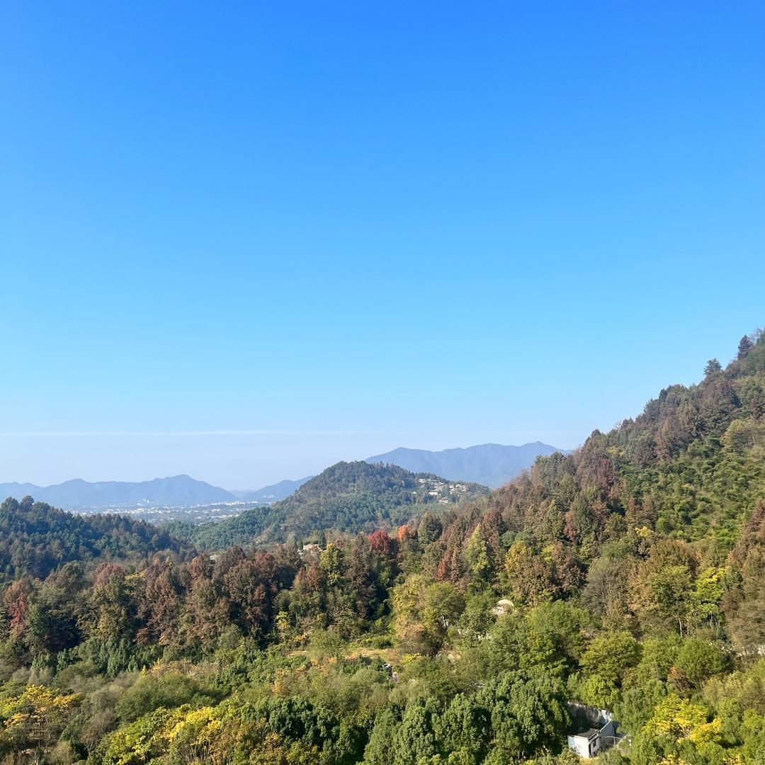 八方来财