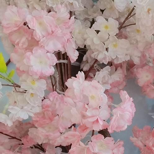 小橘子🌈🌈