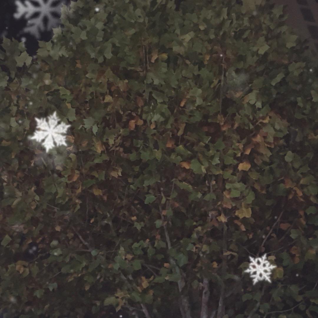 忘掉所有，为自己加油