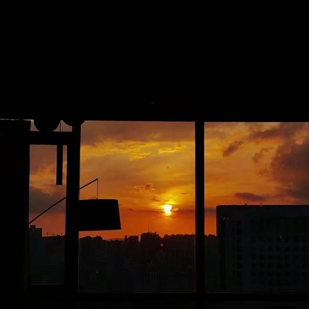 松狮犬