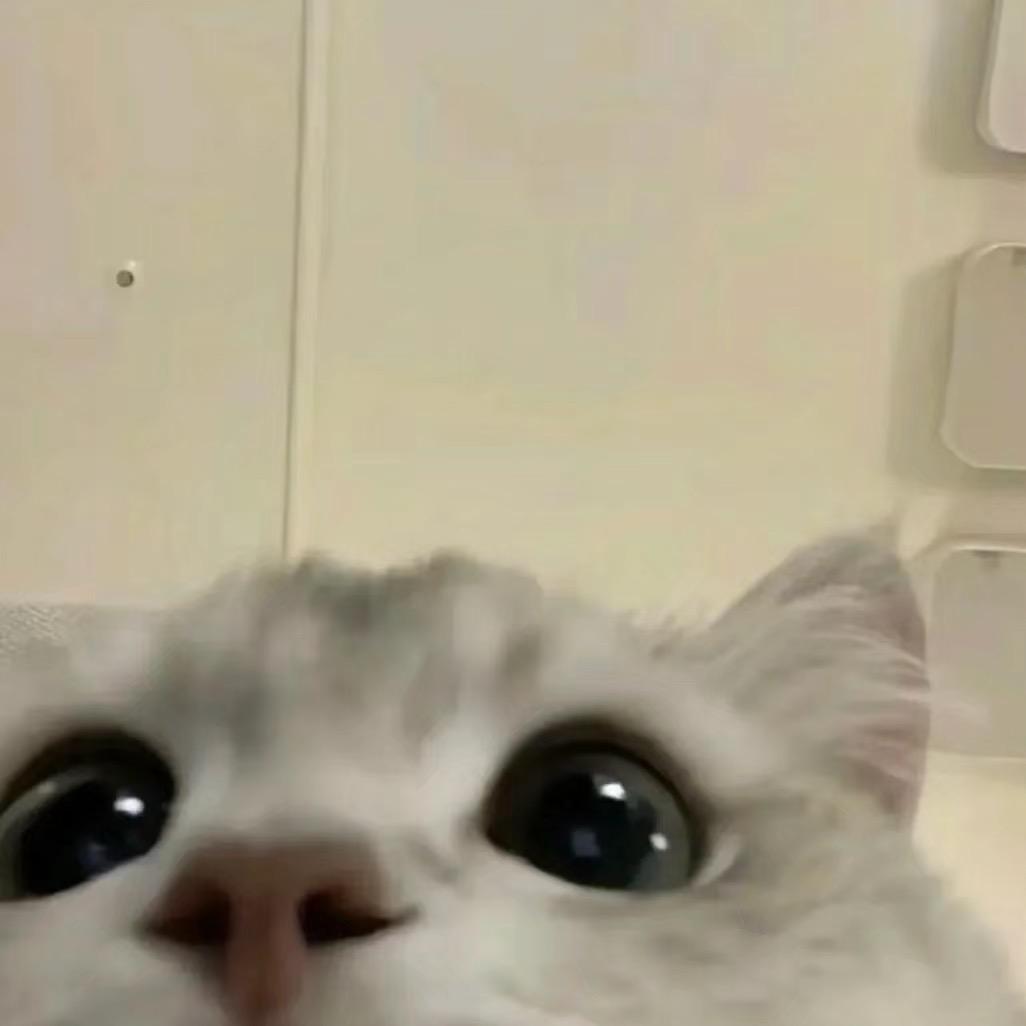 小亿