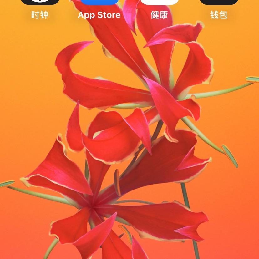 随风飘荡