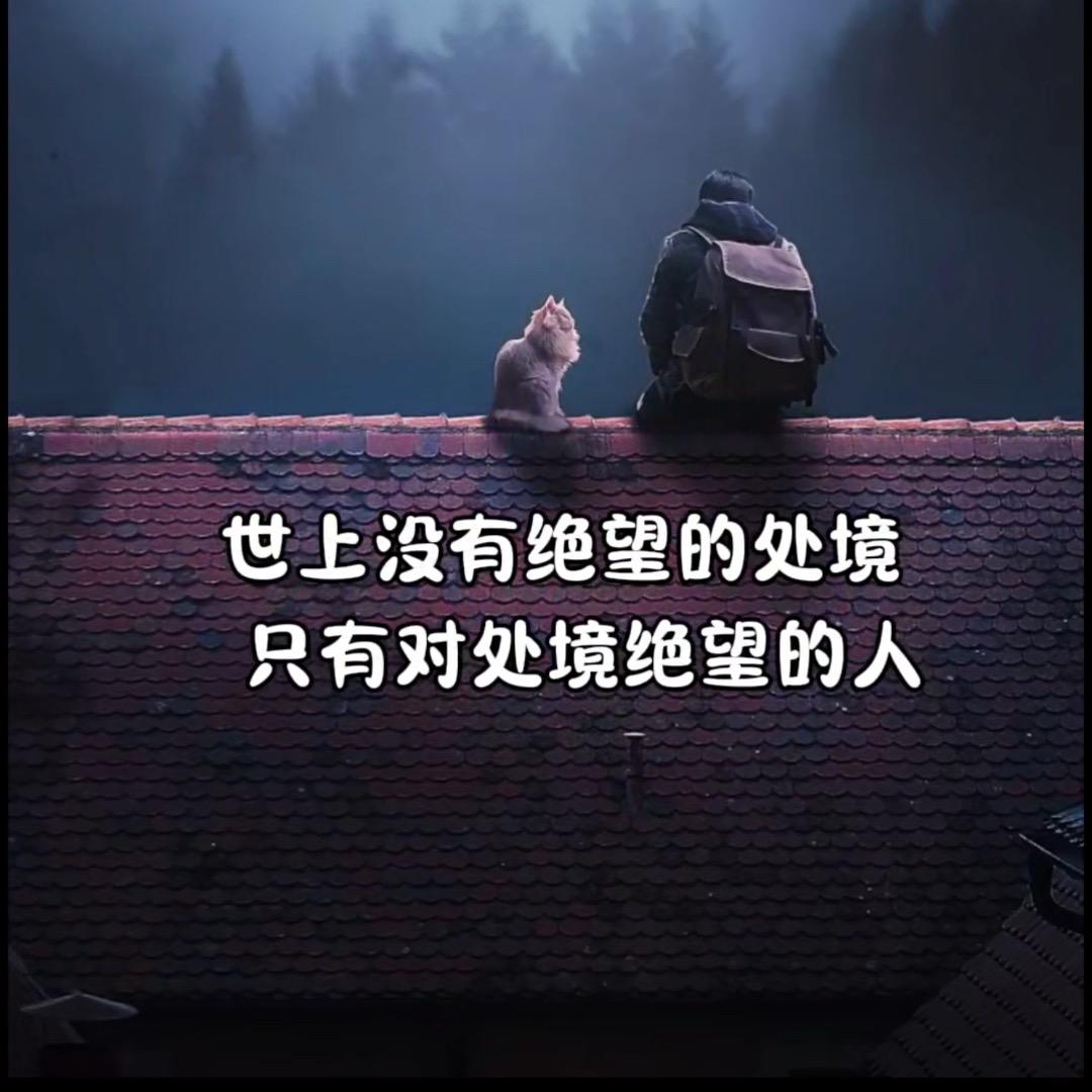 @绝版的自己✨