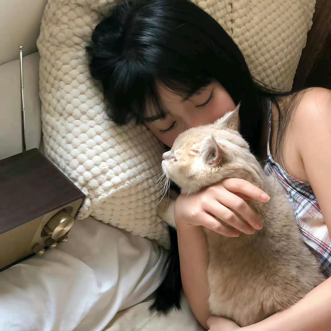 重生成猫